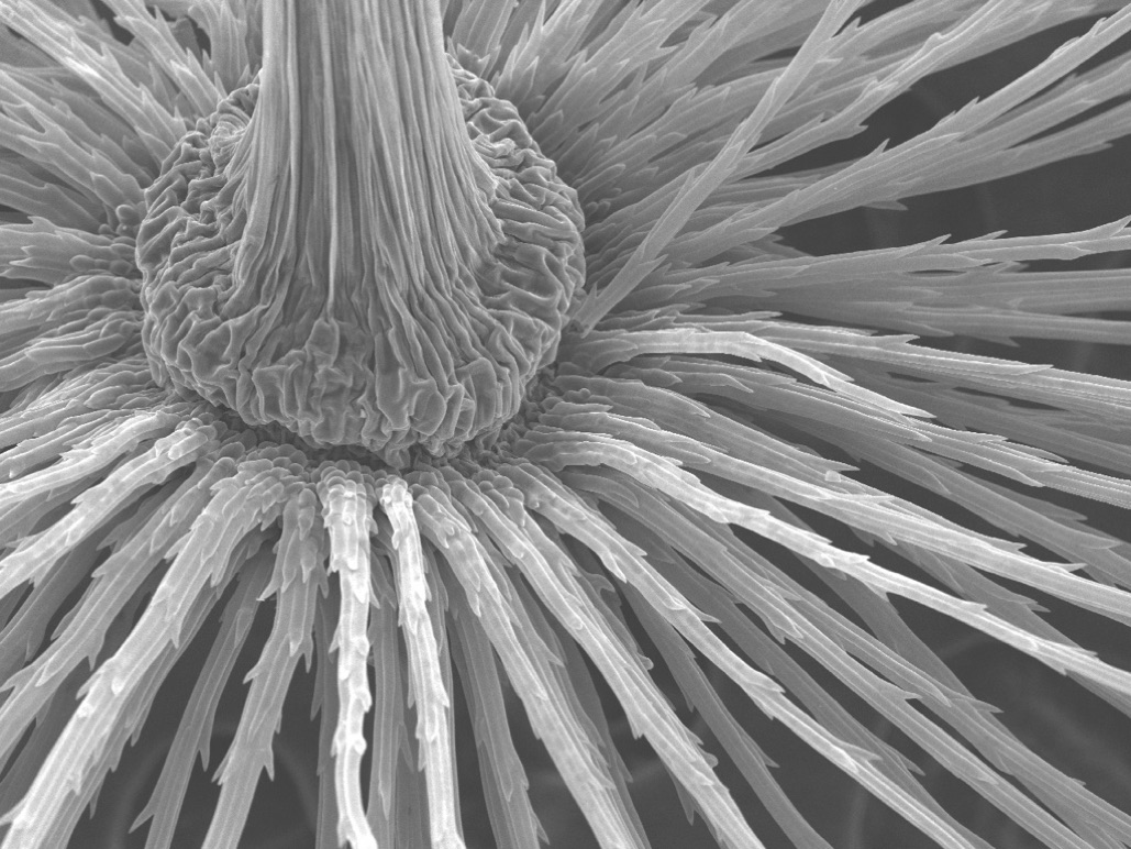 Stacks Image 17
